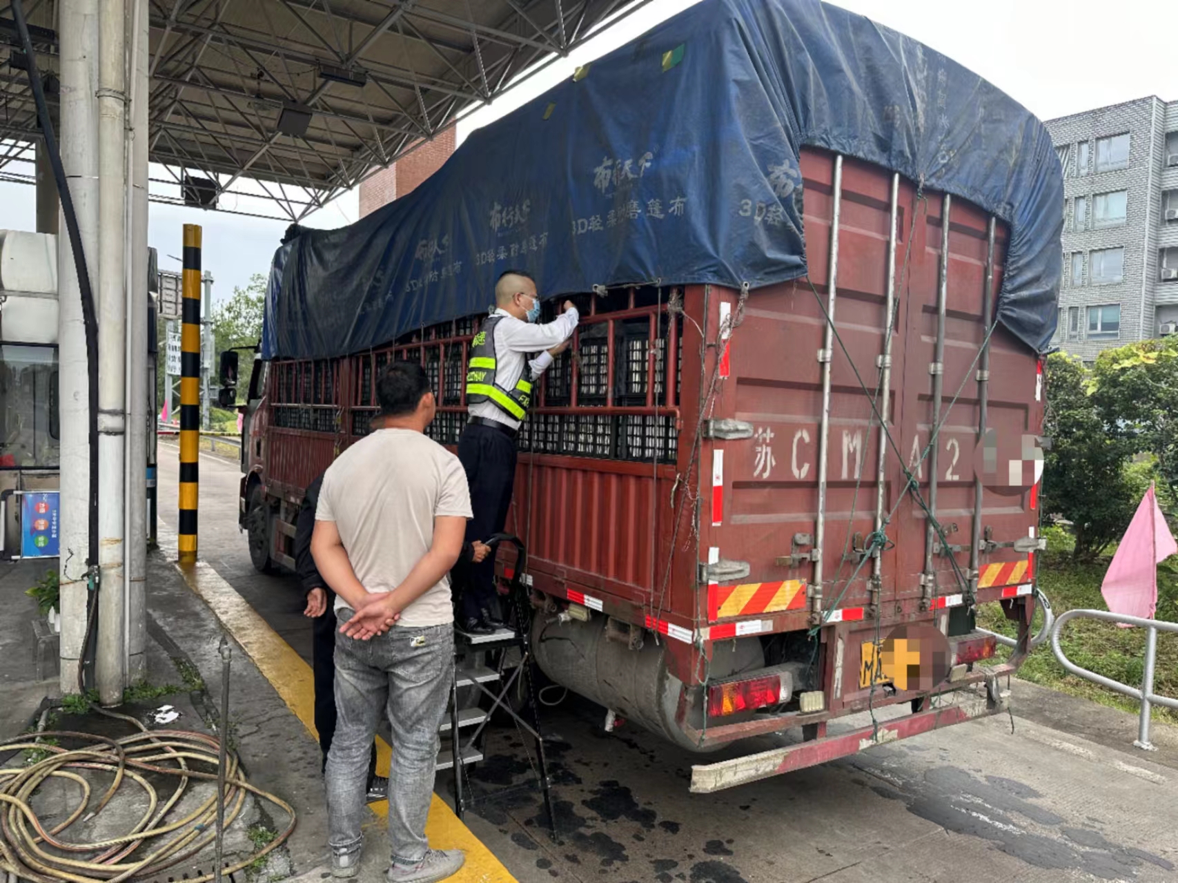 1711074512915991.jpg 1064e706e79aeb533a31814ae4a8de4.jpg